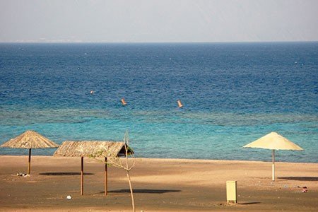 Aqaba Shore Excursions