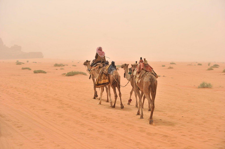 Wadi Rum Tours from Aqaba Port