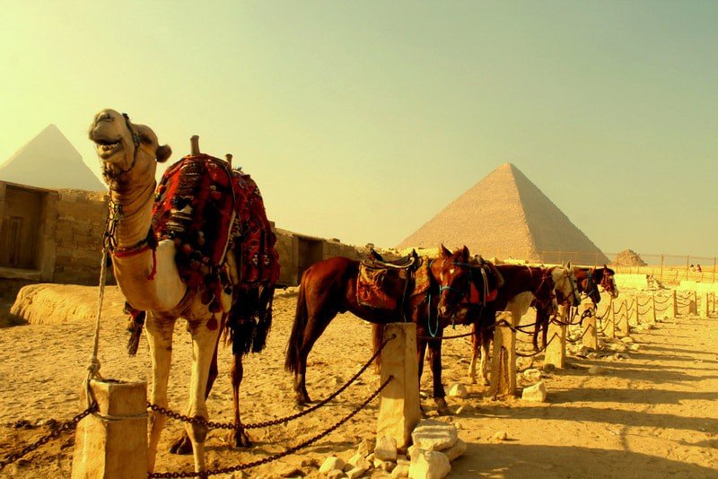 Cairo Day Tours