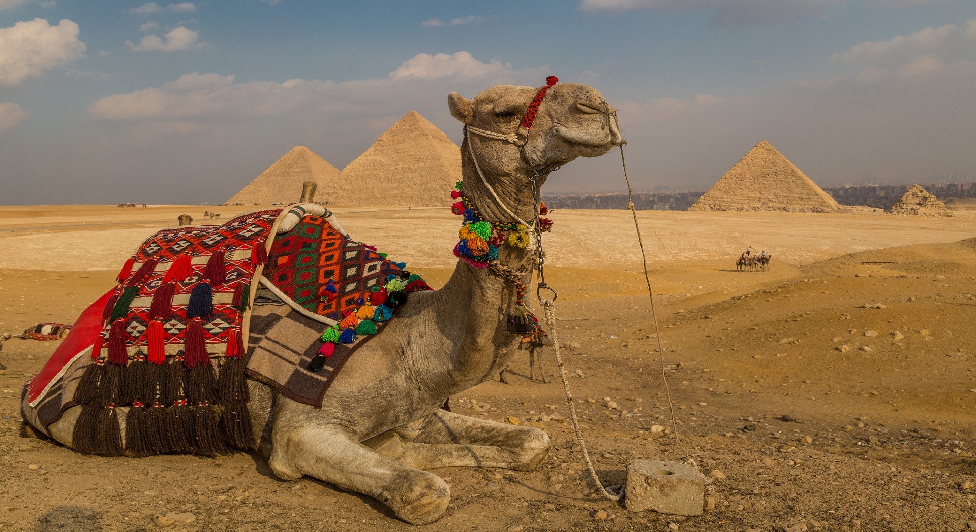Giza Pyramids and The Egyptian Museum Tour