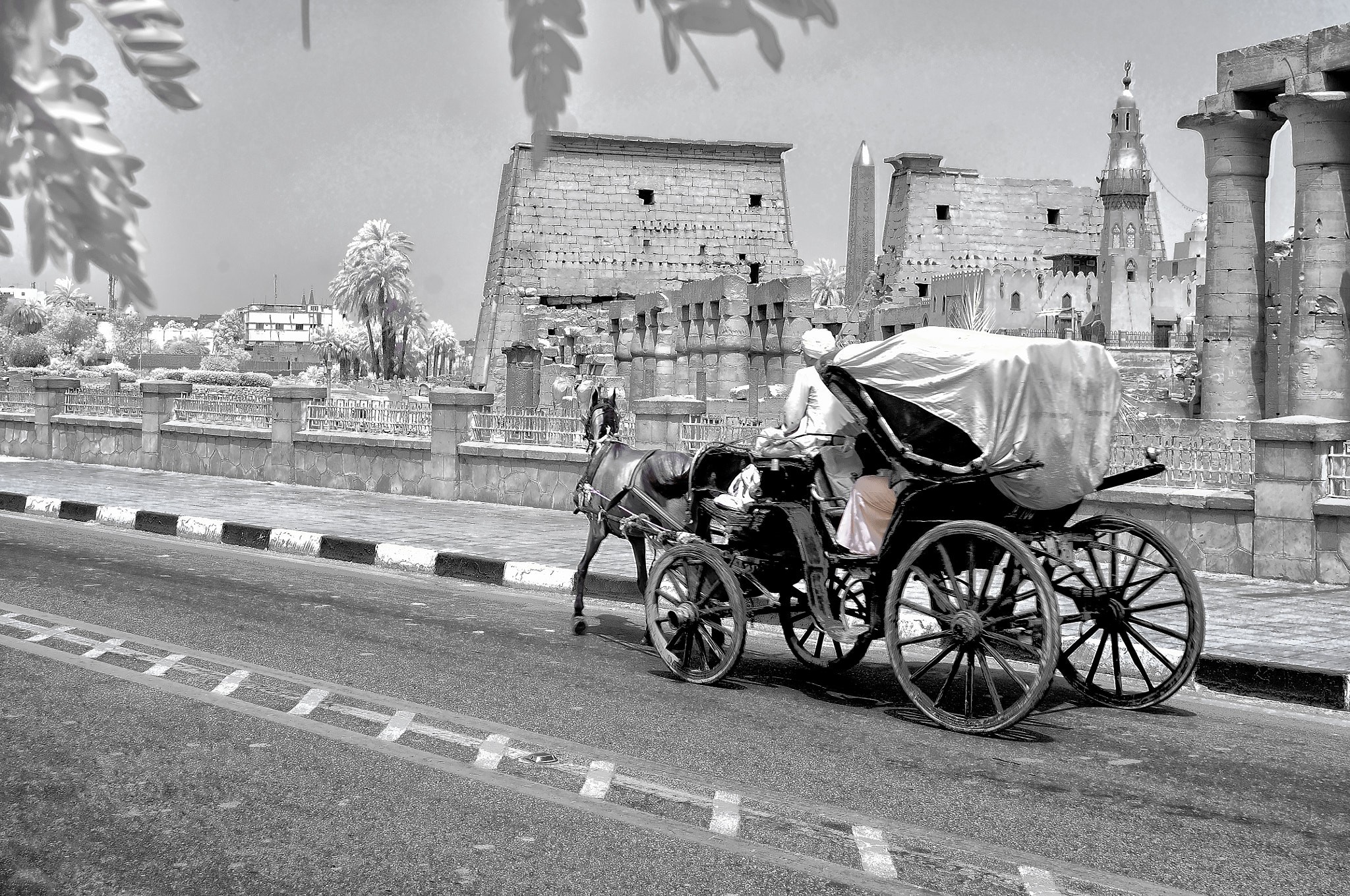Luxor Horse Carriage Ride Tour