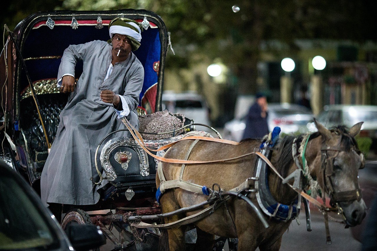 Aswan Horse carriage ride tours