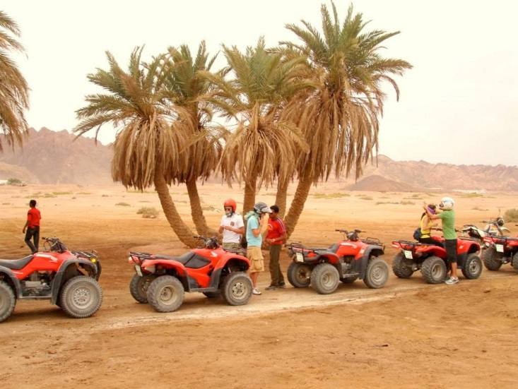 Quad Biking, Camel Riding, and Barbecue Dinner in Sharm El Sheikh