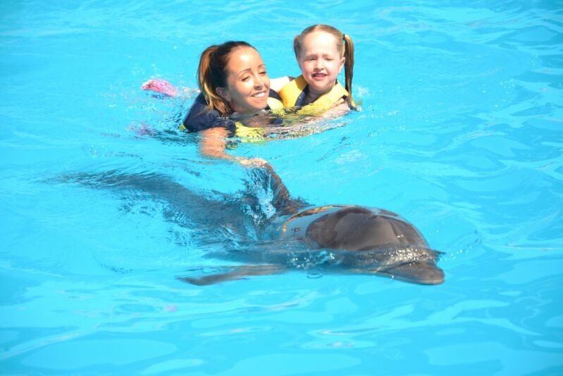 Swim with the dolphins in Sharm El Sheikh